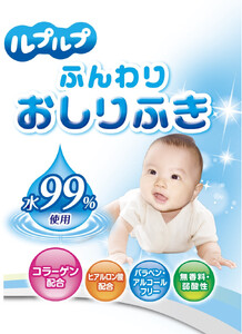 LD-210 ふんわりおしりふき 水99%(80枚入り×3P)×12セット 合計36パック×3か月
