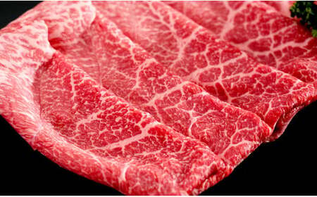 感謝を込めて 佐賀牛モモスライス600g（300g×2P） bk011