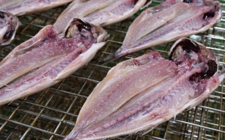 鯵 干物 魚 あじ ひもの 鯵 13枚 セット  
