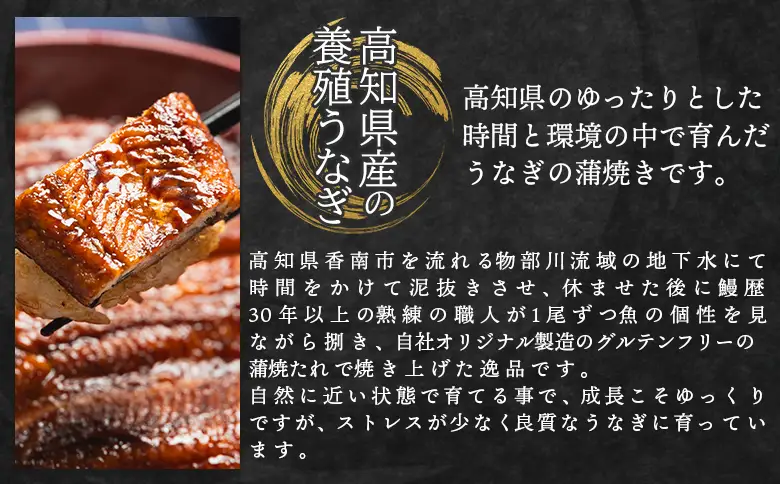 【うなぎ蒲焼き】うなぎの蒲焼き 220g 2尾 fb-0140