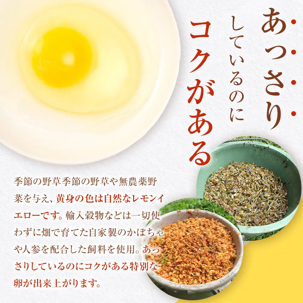 国産飼料にこだわった鶏が産む安全安心の『レモン色たまご』30玉（25玉＋割れ保証5玉）［Hn1］