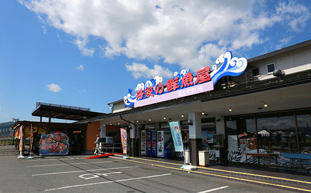 グレ 生 3枚卸し× 2匹分 煮付け ムニエル フライ グレ