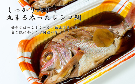 日本海産レンコ鯛の煮付け 2匹（レンジ対応袋入り） 魚貝類 加工食品 タイ 煮つけ 真空冷凍  myz02 myz11 myz17