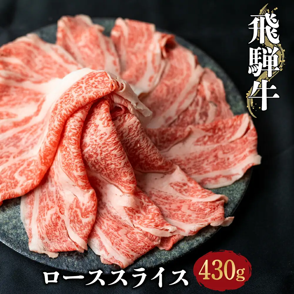 白川郷 まるごと定期便 全5回 お届け 肉 づくし 肉[S249]