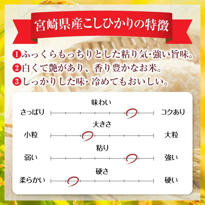 米 こしひかり 無洗米 合計5kg 米[令和8年産 宮崎県産 5kg×1袋 2～7営業日以内に発送予定]