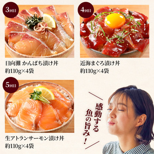 お魚の漬け丼バラエティ5回 定期便 海鮮 漬け丼 セット ぶり 真鯛 かんぱち まぐろ サーモン 流水解凍 海鮮丼 簡単 便利 小分け 個包装 刻み海苔 日向灘 九州 宮崎県 延岡市 冷凍 お取り寄せ N019-YE097
