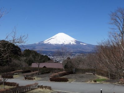 乙女森林公園第２キャンプ場宿泊券（テントサイト：5名） | 宿泊券 利用券 旅行券