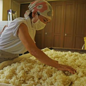 富士山の恵みからつくった魔法の調味料「塩糀」160g 6本セット