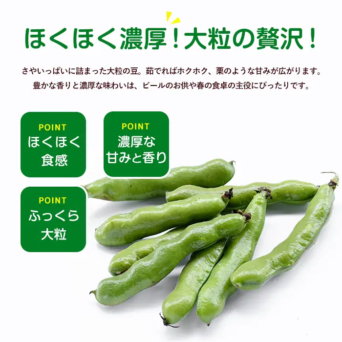 2027年3月上旬以降発送 ご家庭用そら豆約5kg IB092-005