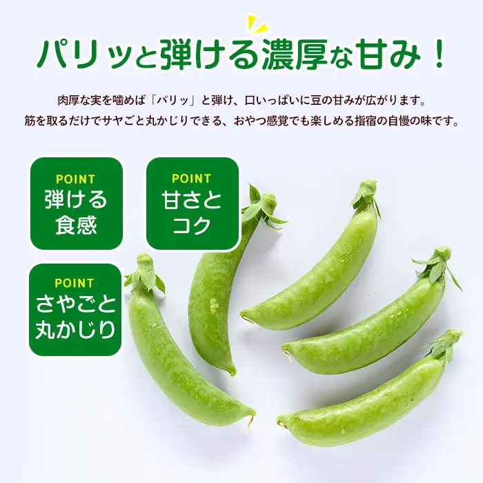 2027年2月上旬以降発送 ご家庭用スナップエンドウ約3kg IB092-004