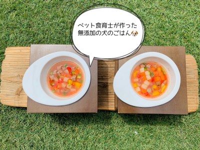 FB154_犬の無添加ごはん☆具だくさんカレー＆クリームシチュー＆ミネストローネ☆スモークソーセージ入り【各2袋・全6袋】定期便全6回