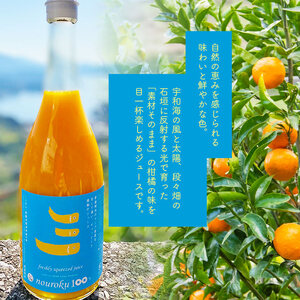 愛媛県明浜産 まぼろしの柑橘「のうろく」ストレートジュース ３本セット AKN0001
