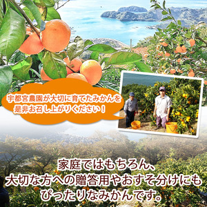 【先行予約】＜産地直送！愛媛県明浜町産 温州みかん 約8kg＞ ※2026年11月中旬～2027年1月中旬頃迄に順次出荷予定ミカン 蜜柑 柑橘類 フルーツ 果物 甘い おいしい おすそ分け ギフト 贈答 特産品 季節限定 期間限定 旬 宇都宮農園 愛媛県 西予市【常温】 AUN0001