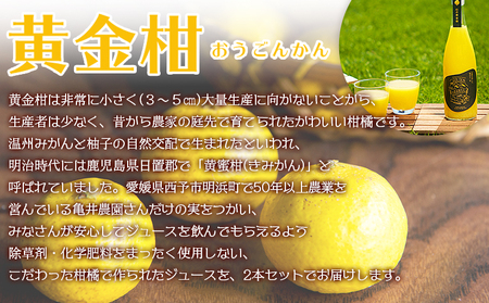 ＜黄金柑ジュース 720ｍ×2本セット＞ 果汁100％ ストレート ジュース おうごんかん 柑橘 ミカン 蜜柑 みかん オレンジ 果物 フルーツ 飲料 無添加 ギフト 贈り物 特産品 二ノ宮商事株式会社 愛媛県 西予市【常温】『2026年3月下旬から順次出荷予定』ANS0006