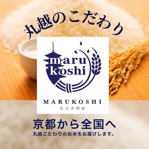 京都丹波産こしひかり 10kg（5kg×2）精米 白米