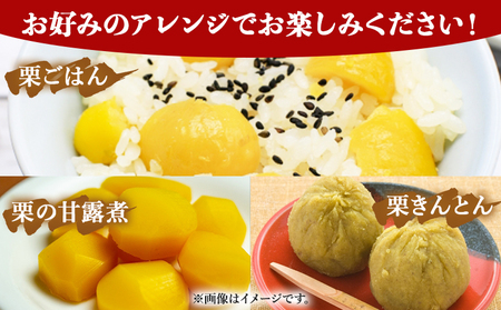 【先行予約】＜栗 約3kg（2Lまたは3Lサイズ）愛媛県西予市産＞ クリ くり 果物 フルーツ マロン モンブラン 栗ご飯 栗きんとん 栗の甘露煮 特産品 国産 秋の味覚 食べて応援 宇都宮物産 愛媛県 西予市【冷蔵】『2026年9月上旬～10月中旬迄に順次出荷予定』UUB0013