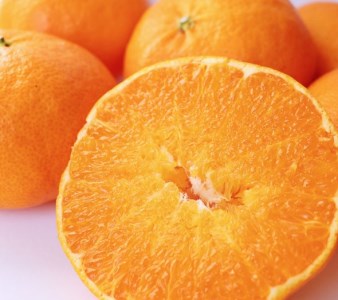 【先行予約】【発送期間:2027年2月～なくなり次第終了】【訳あり】甘平 1.5kg サイズミックス