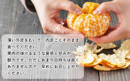 【先行予約】＜見た目は悪いが味は絶品 無茶々園の甘平 約3kg（15玉前後）＞果物 かんぺい みかん 蜜柑 柑橘 フルーツ 期間限定 季節限定 数量限定 無茶々園 特産品 愛媛県 西予市【常温】『2027年2月上旬頃から順次出荷予定』AMC0013