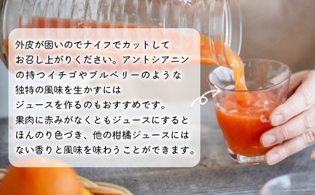 先行予約 ＜無茶々園のブラッドオレンジ 約3kg＞ フルーツ 果物 ぶらっとおれんじ みかん ミカン 蜜柑 柑橘 期間限定 季節限定 無茶々園 食べて応援 特産品 愛媛県 西予市【常温】『2027年3月に順次出荷予定』AMC0024