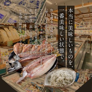 老舗海産物問屋 選りすぐり 干物 セット 緑 (9種) 鯵 あじ みりん ちりめん 鯛 たい 鰯 かます 鮭 紅鮭 しゃけ 鰤 明太子 辛子明太子 めんたいこ 海鮮 魚 ぶり ブリ 漬け いわし セット 詰合せ 大分県 佐伯市【BQ84】【佐伯海産】
