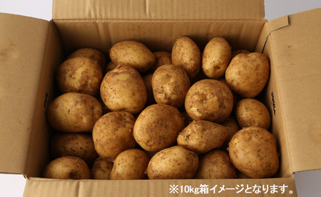 【先行受付】徳之島 天城町産 赤土ばれいしょ 新じゃが 春一番 10kg L～2L 混合サイズ ジャガイモ じゃがいも バレイショ