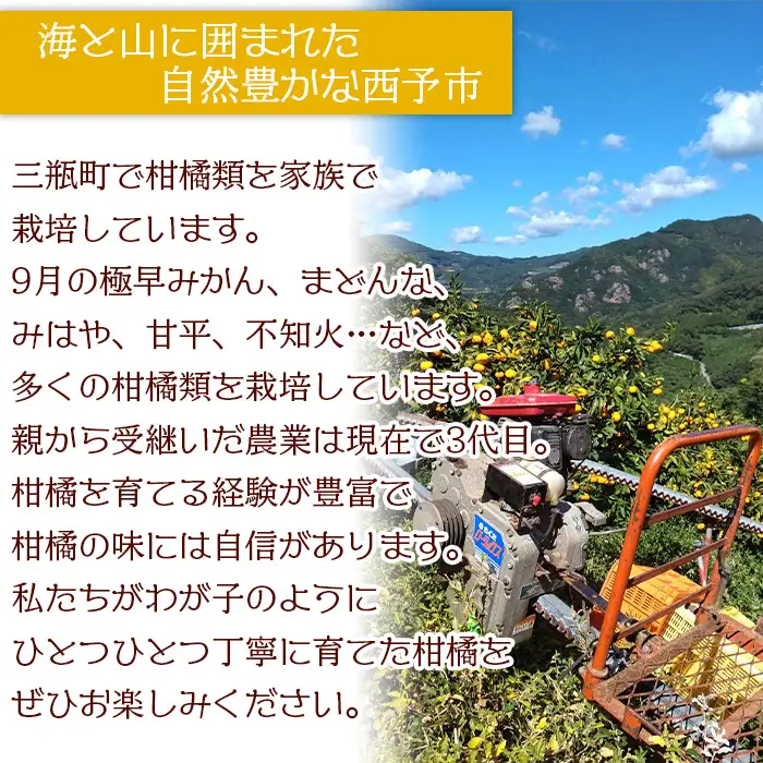 ＜完熟早生みかん 約4kg（家庭用・S～Mサイズ混合）直送＞ 果物 オレンジ 柑橘 特産品 山本果樹園 西宇和 愛媛県 西予市 【常温】『2026年11月中旬～12月中旬までに順次出荷予定』MYK0002