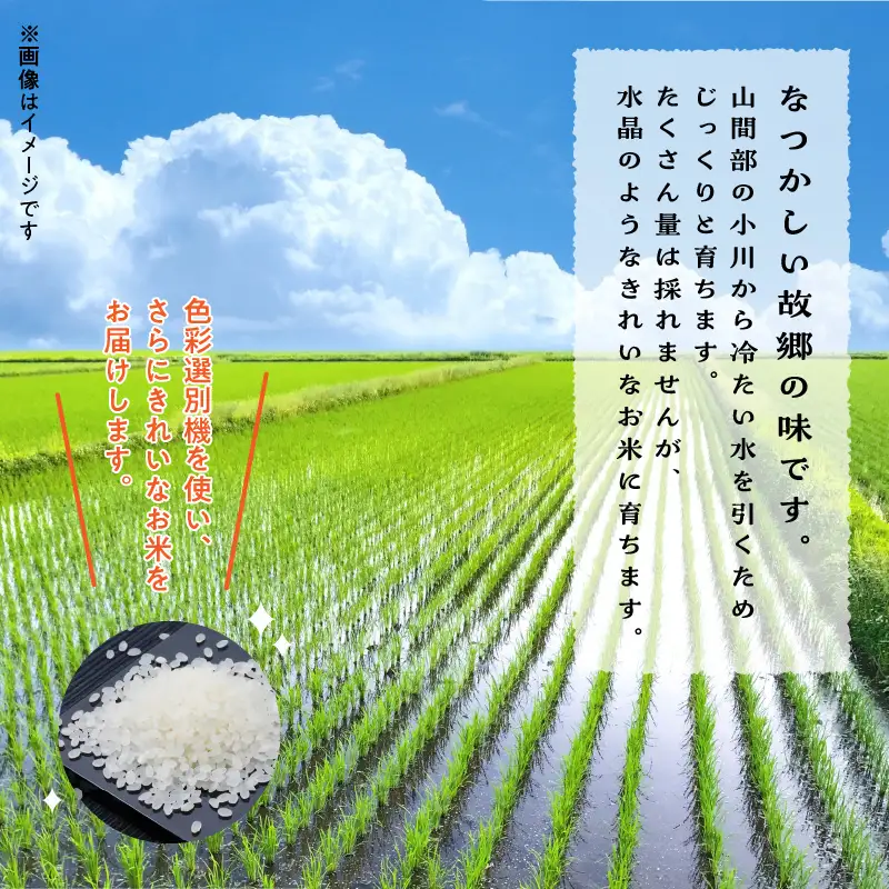 S112-005A_〈2026年産〉河浦町新合産　コシヒカリ　精米　6kg（3kg×2）