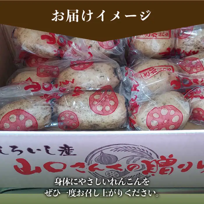 【2026年9月～発送】洗いれんこん 約2kg（500g×4袋）/ れんこん [IAS003]