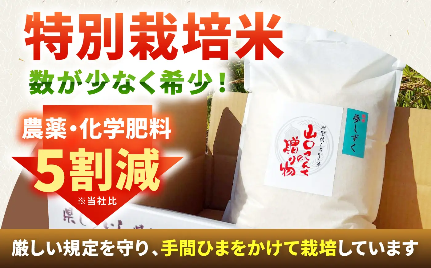 【先行予約 2026年10月～発送】 令和8年産 夢しずく5kg 白米/ 米 [IAS007]
