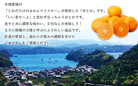 先行予約 数量限定＜愛媛西予市産 せとか 約2kg＞ 果物 くだもの フルーツ 柑橘類 ミカン みかん 甘い 特産品 糖度 家庭用 自宅用 産地直送 渡江から一歩を踏み出す会 食べて応援 愛媛県 西予市 【常温】『2026年3月上旬～4月中旬順次発送予定』ATI0019