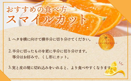 紅まどんなと同品種！＜贅沢柑橘「まどんな」贈答用 12～16個入り＞ 果物 フルーツ 愛媛果試第28号 みかん 蜜柑 ミカン オレンジ マドンナ ギフト 贈り物 特産品 三好農園 西宇和 愛媛県 西予市【常温】『2025年11月下旬～2026年1月上旬迄に順次出荷予定』MMN0005