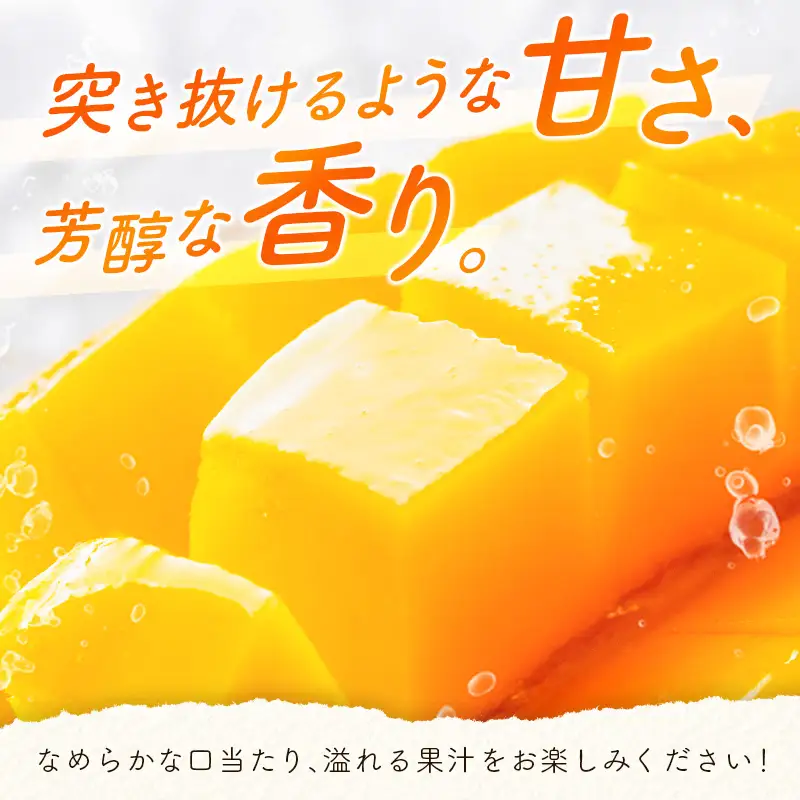 2027年出荷 宮崎 完熟マンゴー 太陽のタマゴ 3L×2玉 計900g以上 E168-27