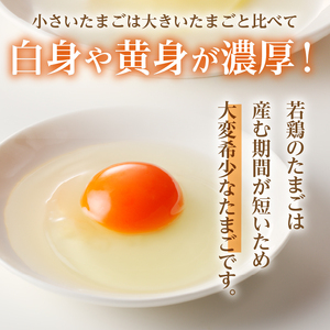 【ふるなびWEEK対象】たまご 水の恵み小卵 45個 S～MSサイズ 破卵保証5個入り　たまご 卵  [h081]