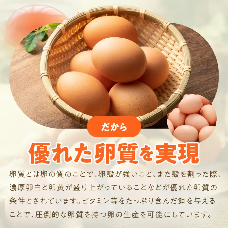 戸野さん家のこだわりタマゴ 定期便 30個×全6回 Mサイズ 合計 180個