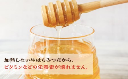 福岡 糸島産 生はちみつ ( 夏 の 百花蜜 450g ) 糸島市 / 糸島二丈サクランボ農園 [AKJ002]