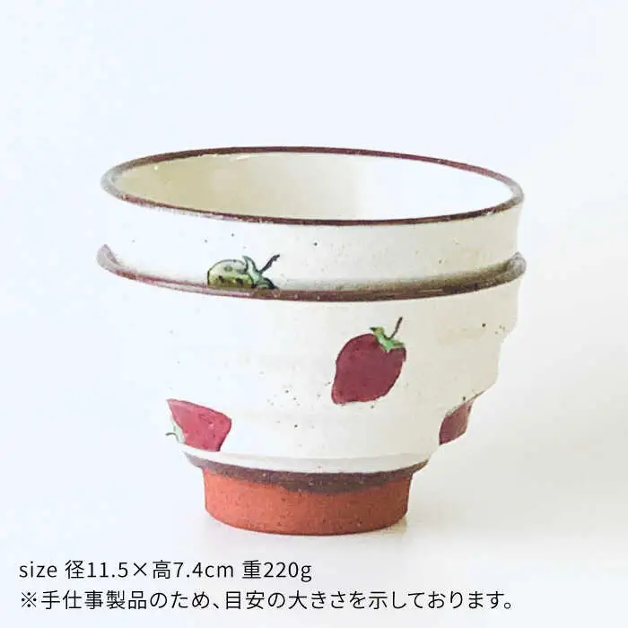 【波佐見焼】モダン 茶碗 ペアセット いちご柄 食器 皿 【ROXY・HASAMI】 [SB133]  波佐見焼