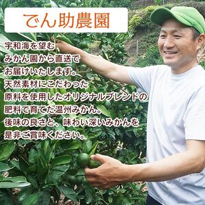 愛媛県西宇和産 でん助みかん（温州みかん）５kg ご家庭用 MDN0001