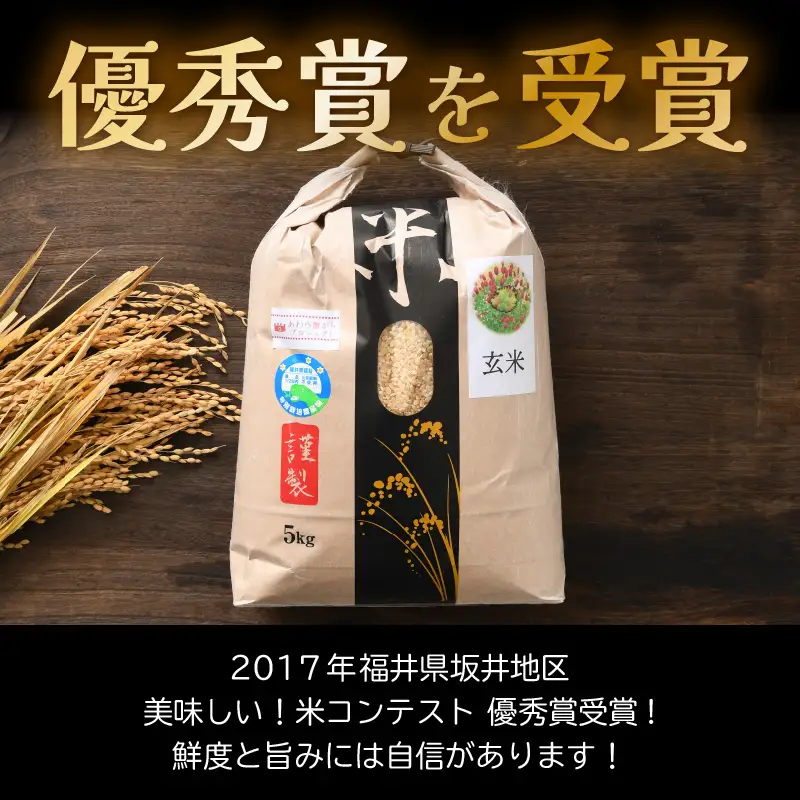【先行予約】【令和8年産 新米】ワルツ農場のコシヒカリ 玄米 5kg 特別栽培米【納得の美味しさ】減農薬 有機肥料使用 / お米 ご飯 つや 艶 甘味 旨み あわら市 米の王様 こしひかり ブランド米 北陸 あわら市産 福井県産 ※2026年10月下旬以降発送予定 [aw046-a008]