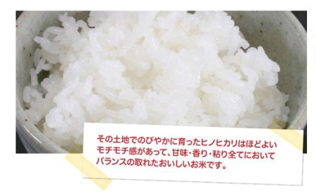 ヒノヒカリ 10kg