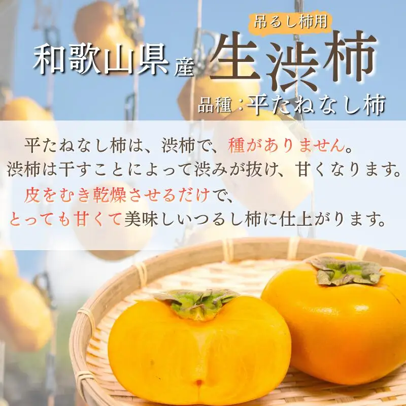 甘さが違う！とっても甘くなる生渋柿（平たねなし柿）吊るし柿用  T字枝or吊るしクリップ付付約1.5～2kg　約6～12個＜2026年10月中旬～11月上旬ごろ順次発送＞Ted【art017B】