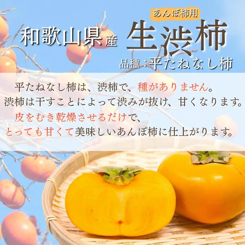 甘さが違う！とっても甘くなる生渋柿（平たねなし柿）あんぽ柿用 T軸枝無 約1.5～2kg　6～12玉＜2026年10月中旬～順次発送＞【art018B】
