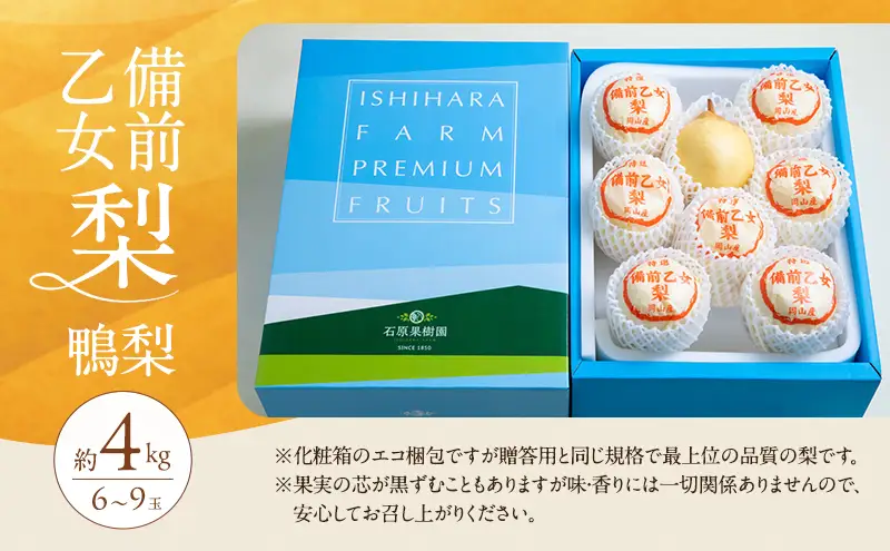 梨 2026年 先行予約 備前乙女梨（鴨梨） 6～9玉 合計約4kg 岡山県産 梨