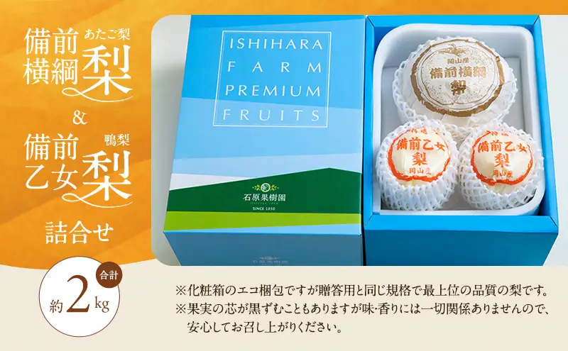 梨 2026年 先行予約 備前横綱梨（あたご梨） 1玉( 1～1.5kg) 岡山県産 梨