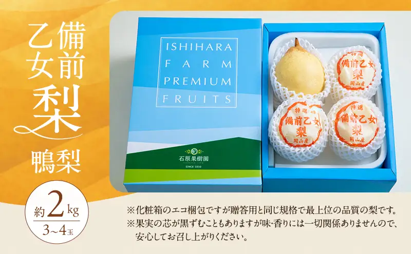 梨 2026年 先行予約 備前乙女梨（鴨梨） 3～4玉 合計約2kg 岡山県産 梨