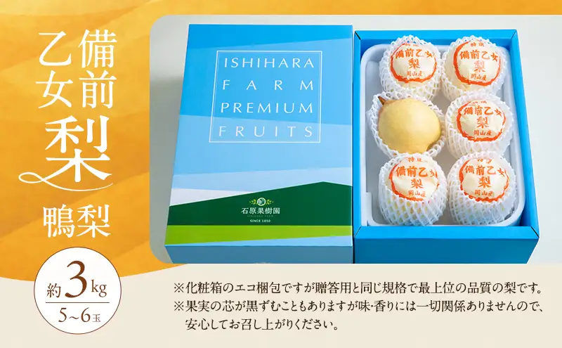 梨 2026年 先行予約 備前乙女梨（鴨梨） 5～6玉 合計約3kg 岡山県産 梨
