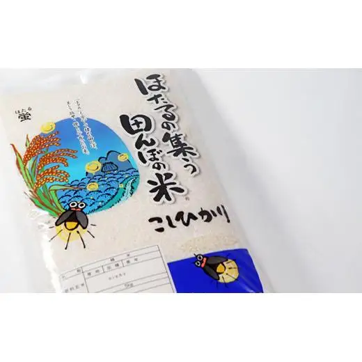 ≪令和8年産≫ ほたるの集う田んぼの米 こしひかり 約5kg