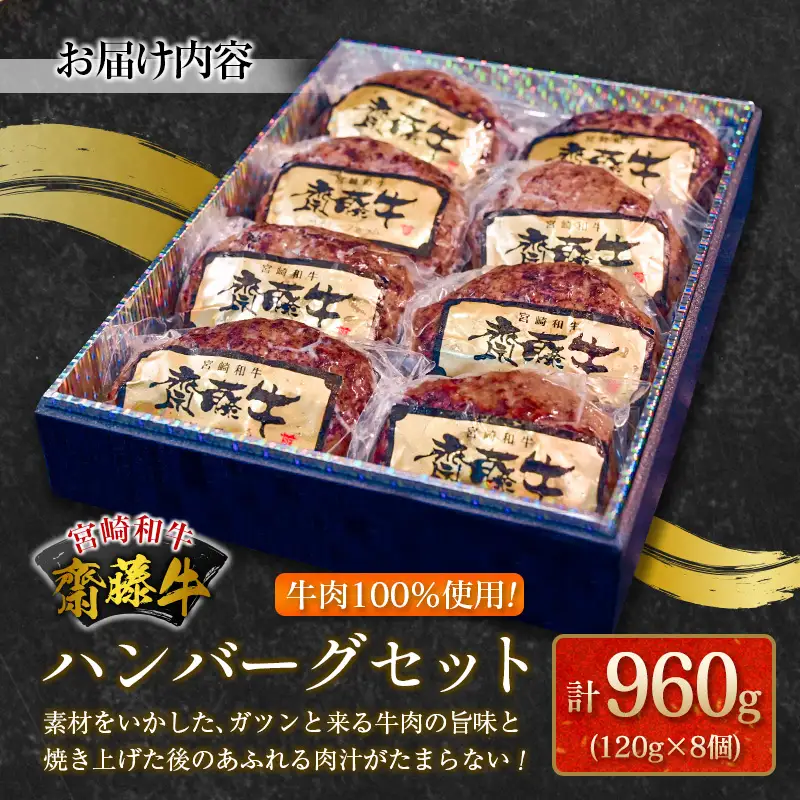 齋藤牛 ハンバーグセット（120g×8個）計960g【B549】