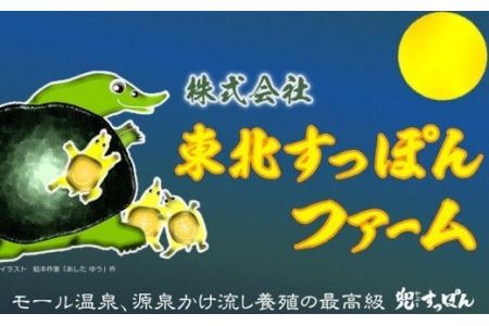 温泉すっぽんアミノ＋プロテオグリカン×6袋　【02402-0178】