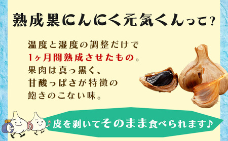 青森県産熟成にんにく元気くん　セットＡ 【送料無料 青森県 七戸町 にんにく ガーリック 野菜 低臭真空処理 黒にんにく】　【670286】