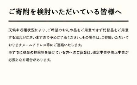 《先行予約》2027年産 山形県産 特選「真夏のルビー紅姫」 桐箱詰め約300g やまのべ多田耕太郎のさくらんぼ サクランボ F20A-052